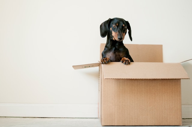 Packing