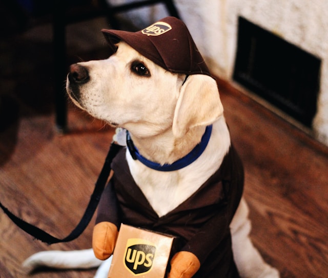 UPS