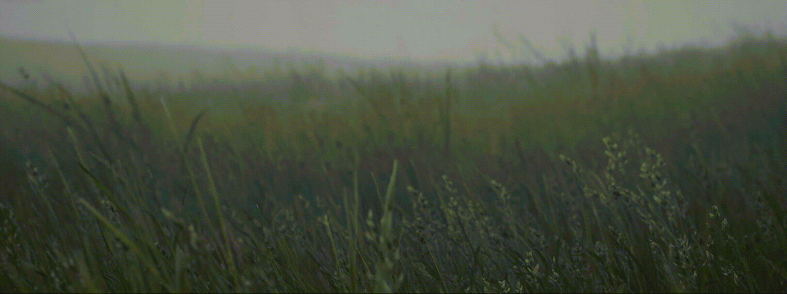 完整使用流程演示