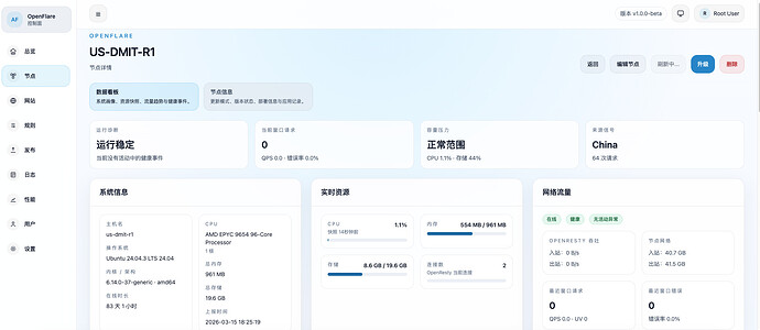 OpenFlare 节点详情